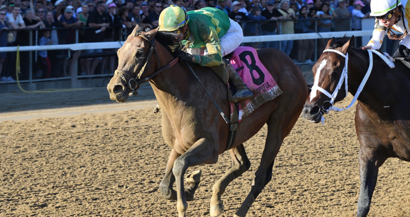 Sierra Leone, Chancer McPatrick among eight Breeders’ Cup workers at Belmont Park for Chad Brown