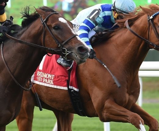 Get Smokin fired up for gate to wire G2 Hill Prince win