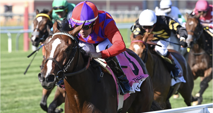 New York-bred Scythian among a plethora of New York-based Breeders' Cup contenders