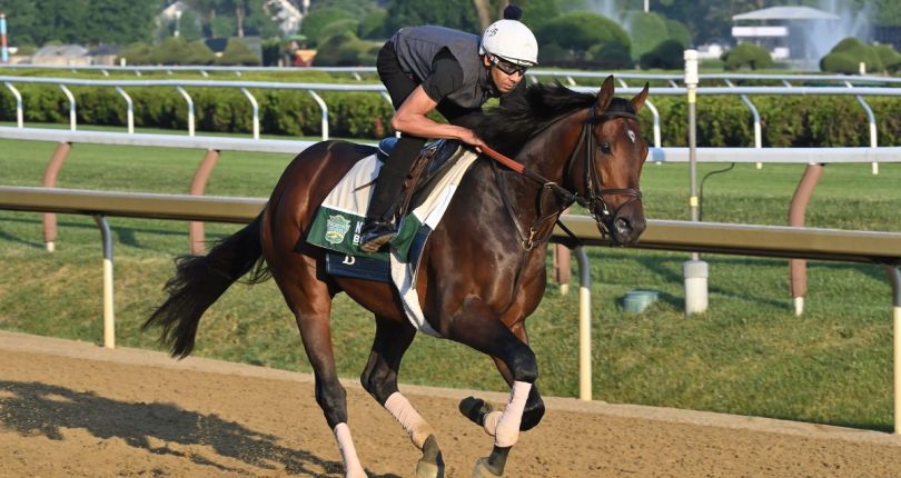 Sierra Leone leads Brown-trained Breeders’ Cup hopefuls on Saturday tab at Belmont